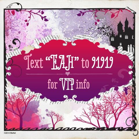 File:Facebook - VIP info.jpg