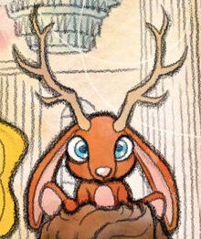 Mr. Cottonhorn