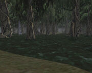 Innothule Swamp