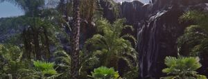 The Jungle Dimension