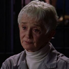 Paula Haggerty
