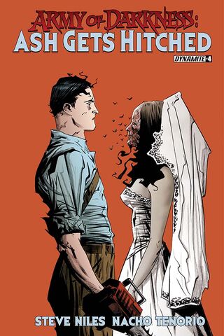 File:AshHitched04CovLee.jpg