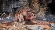 Megamouth