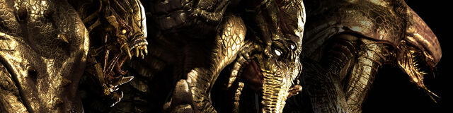 File:Monster goldskins.jpg