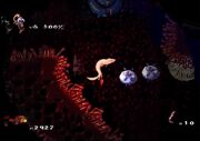 Villi-sheep