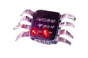 Spiderthing