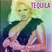 Soulonfire