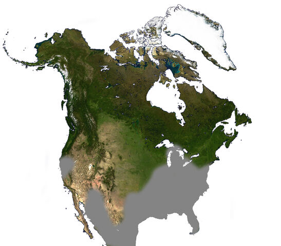 File:Opossum North America Range.jpg