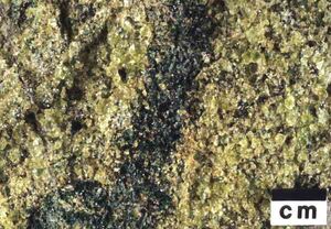 Peridotite