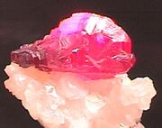 Lucidium
