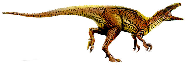 File:800px-Australovenator.jpg