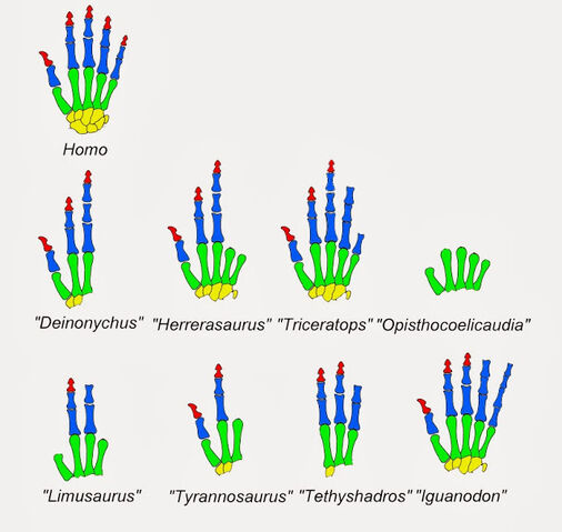 File:Dinosauria - 1(Hands).jpg