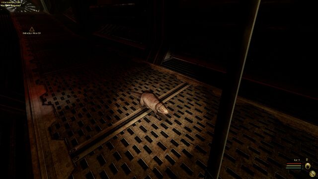 File:Red Eyed Sewer Rat.jpg