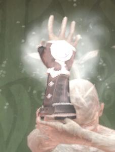 File:Ice Storm Spell Gauntlet.jpg