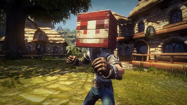 File:MineCrateHat.jpg