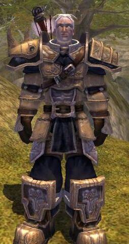 File:Bright Platemail Suit.jpg