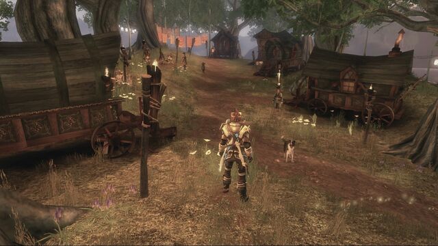 File:Driftwood Camp.jpg