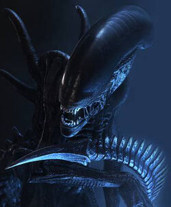 Xenomorph