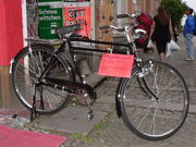 Fliegende Taube