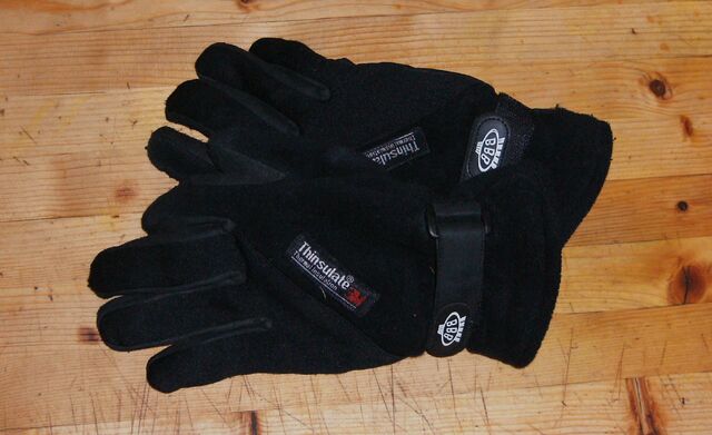 Datei:Handschuh - BBB.jpg