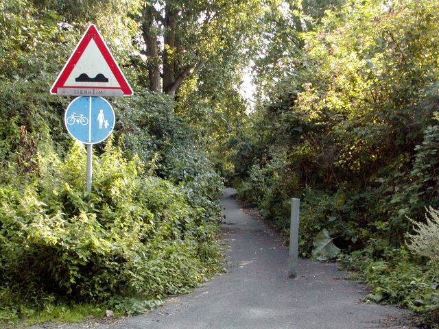 Datei:Radweg mit Huppeln.jpg