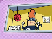 BigSuperheroWish178
