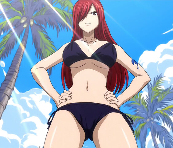 Fichier:ERZA.jpg