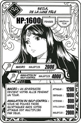 Fichier:Carte Seila.png