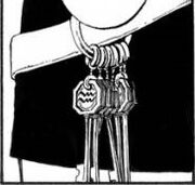 Clés Lucy Manga.jpg