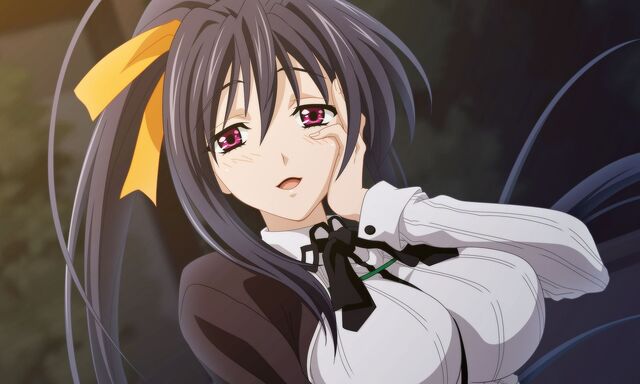Fichier:Akeno 5.jpg