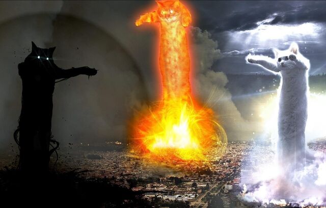 File:Longcats clashing.jpg