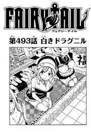 Cover 493