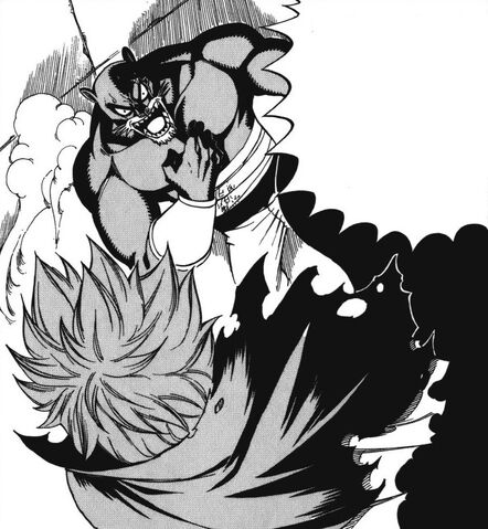 File:Pantherlily and Mystogan arguing.jpg