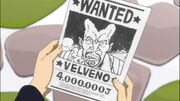 Velveno Request