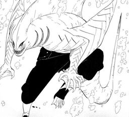 Squalo Shark Form