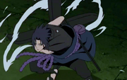 Shinn attacks