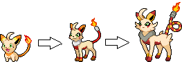 Linea evolutiva 2.png