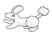 Pooble