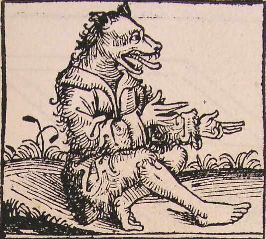 File:Cynocephali.jpg