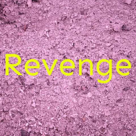 File:COVER - Revenge.jpg