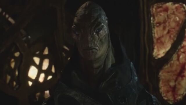 File:Scorch.jpg