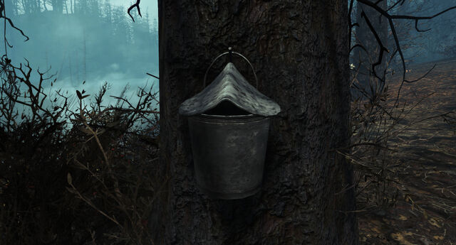 File:SapBucket-FarHarbor.jpg