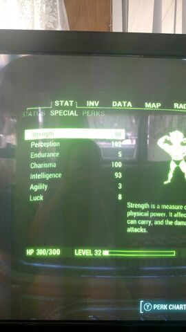 File:SPECIAL Stats Bug.jpg