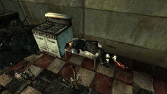 Fallout 3 Quick Loot