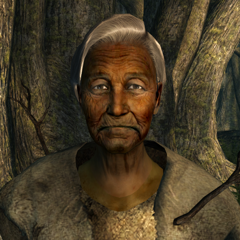 File:FO3 Laurel w hood.png