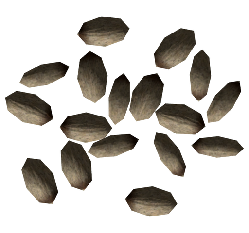 File:Pinyon nuts.png