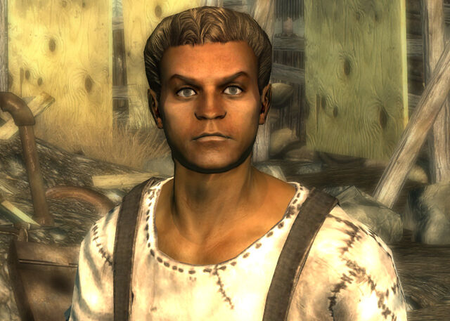File:Flash FO3.jpg