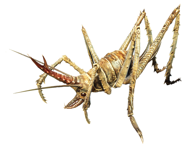 File:Cave cricket.png