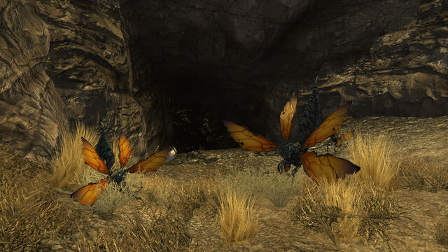 File:Cazador nest closeup.jpg