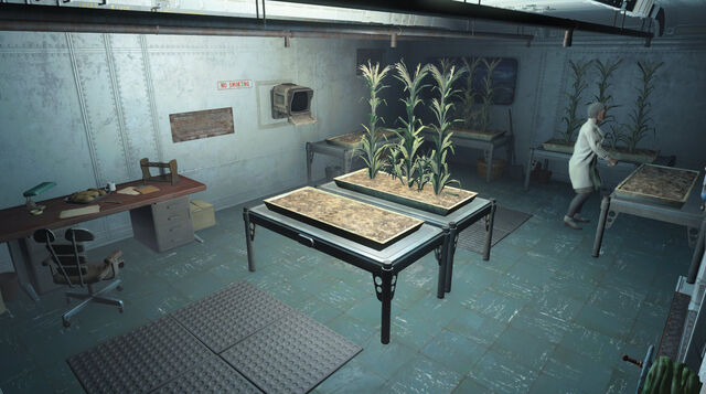 File:Vault81-Hydroponics-Fallout4.jpg
